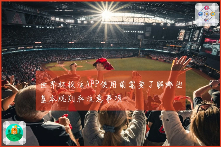 世界杯投注APP使用前需要了解哪些基本规则和注意事项