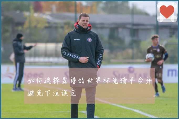 如何选择靠谱的世界杯竞猜平台并避免下注误区